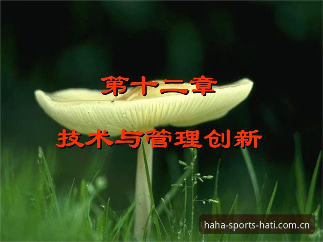 哈体官网注册入口哪个好 从贝纳蒂亚马赛经历看体育管理者的创新决策实用指南